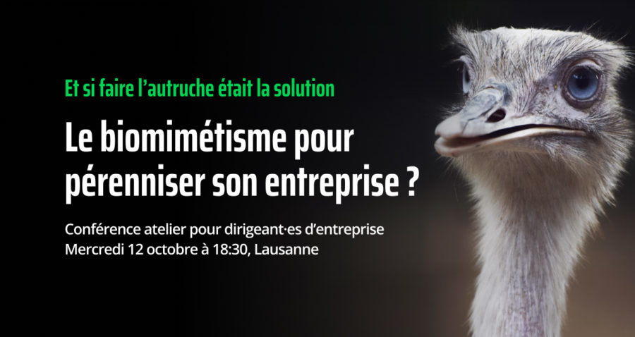 CJD - Conférence chefs d'entreprise